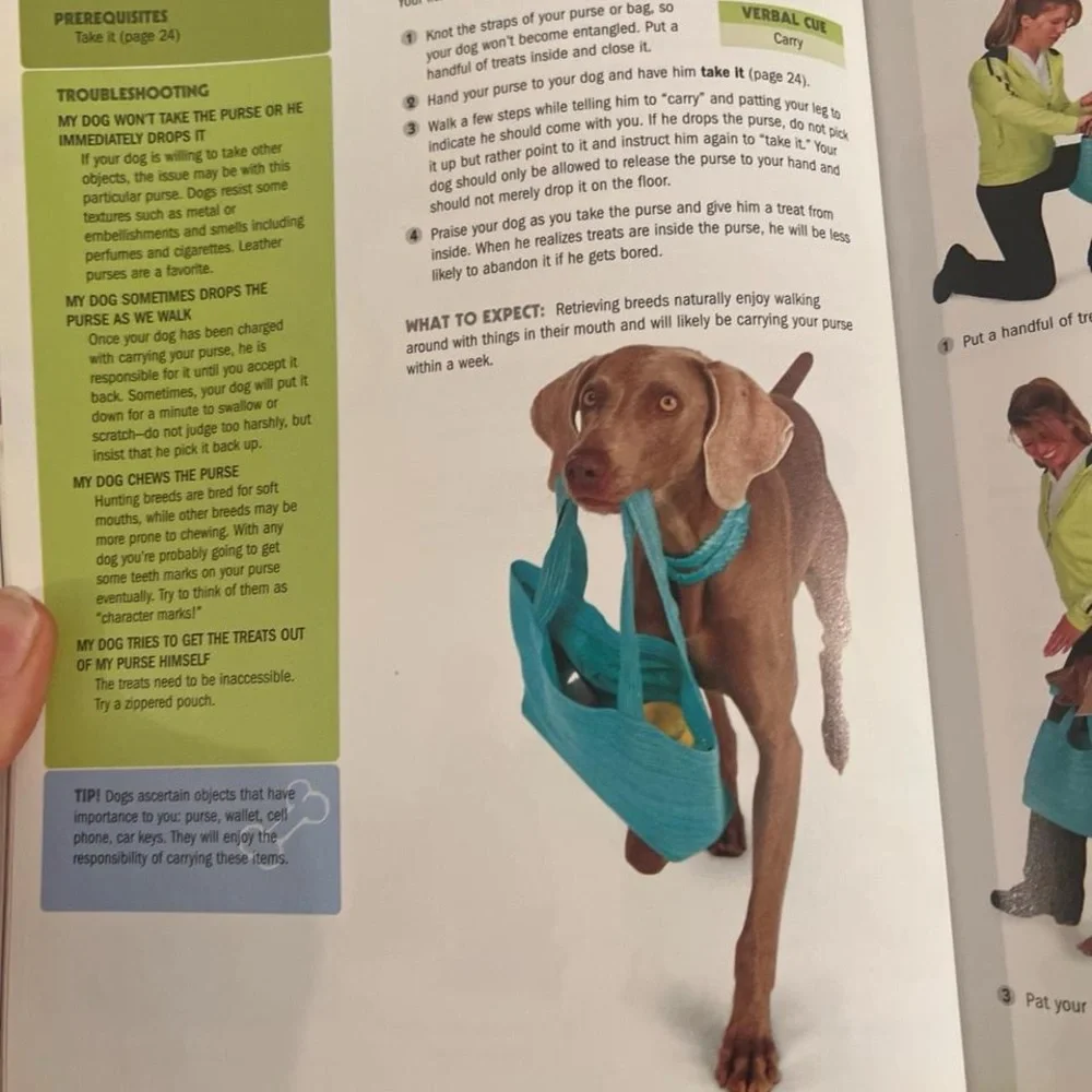 101 dog tricks